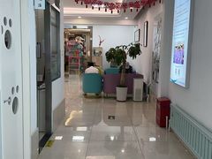-北京观赏动物医院·24小时大型综合·猫专科·异宠专科