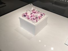 -BLACKSWAN黑天鹅(环球店)