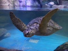 -多彩贵州城极地海洋世界