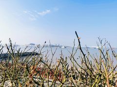 -上海滨江森林公园