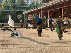 -韶关经律论国际酒店温泉