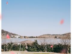 -上海月湖雕塑公园