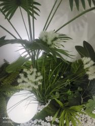 -HEYAN荷妍专业脱毛连锁机构