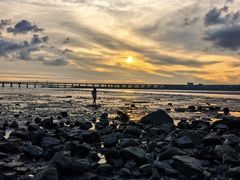 -宝安西湾红树林湿地公园