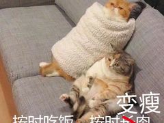 -烟台市博物馆