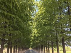 -嘉北郊野公园