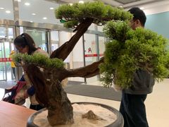 -呷哺呷哺 小火锅 (浦东新欧尚超市店)