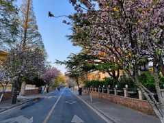 -八大关景区