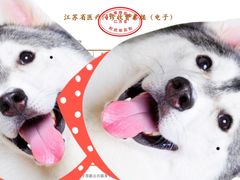 -江苏省人民医院(广州路院区)