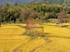 -塔川景区