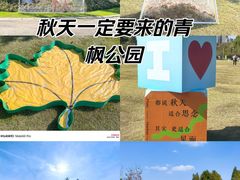 -青枫公园