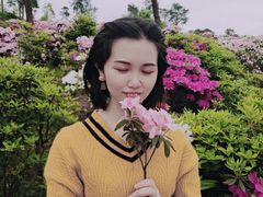 -南山植物园