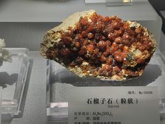 -湖南省地质博物馆