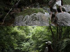 -秦岭风景区