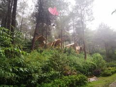 -客乐得玉峰山房车营地