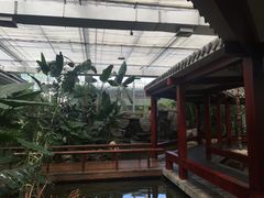 -汤山翠谷生态餐厅
