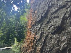 -雁荡山三折瀑景区