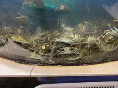 -海天盛宴新派海鲜自助餐厅(群力店)