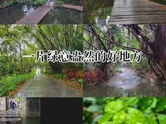 -燕晗山郊野公园