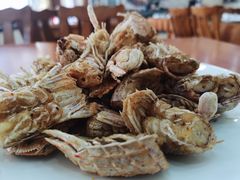 -四海鲜渔家菜(黄金海岸店)