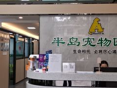 -半岛宠物医院24小时(科华中路店)