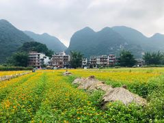 -靖西鹅泉风景区