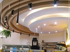 -猫域·湾主题猫咖·宠物吧(南坪城市广场店)