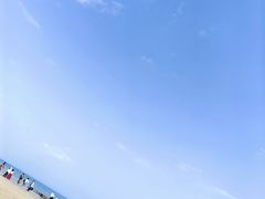 -贝壳沙滩