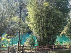 -鼎湖山风景区