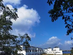 -鹅湖玫瑰文化园