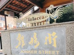 -马六甲鸡场街