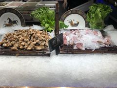 -加餐海鲜自助(宝龙一城店)