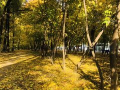 -莫斯科大学
