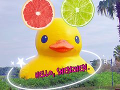 -深圳人才公园
