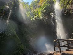 -莫里热带雨林景区