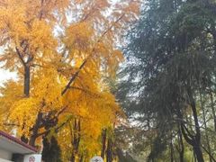 -四川大学(望江校区)