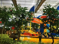 -南宫五洲植物乐园