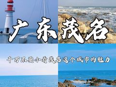 -华海酒店(茂名高铁站店)