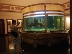 -肇庆奥威斯酒店