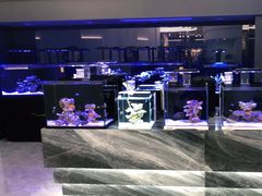 -1013 PET SHOP精品宠物商店(丁香店)