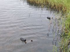 -花湖生态旅游区