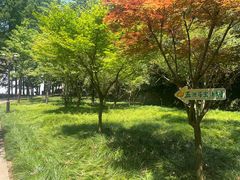 -五泄景区