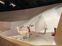 -武汉园博园(武汉自然博物馆)