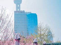 景观位-浦江二号·独栋江景餐厅(滨江大道店)