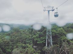 -热带雨林自然公园