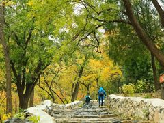 -阳台山自然风景区