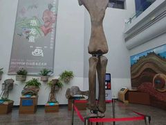 -自贡恐龙博物馆