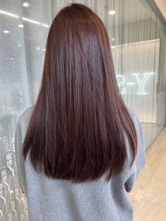 -Y-STUDIO原理
