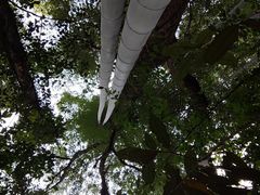 -上海佘山国家森林公园天马山园