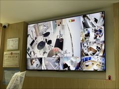 -鼎级派宠物(中南店)